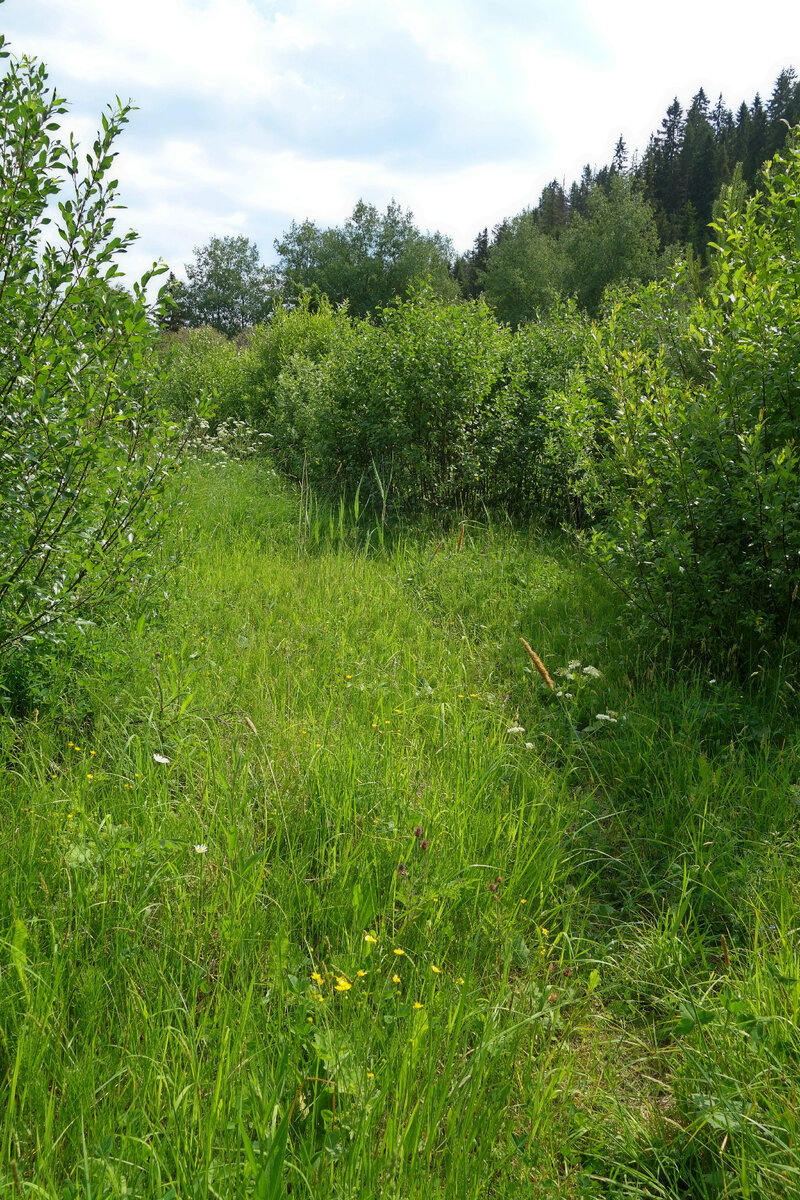 Тропа на гору Перятею