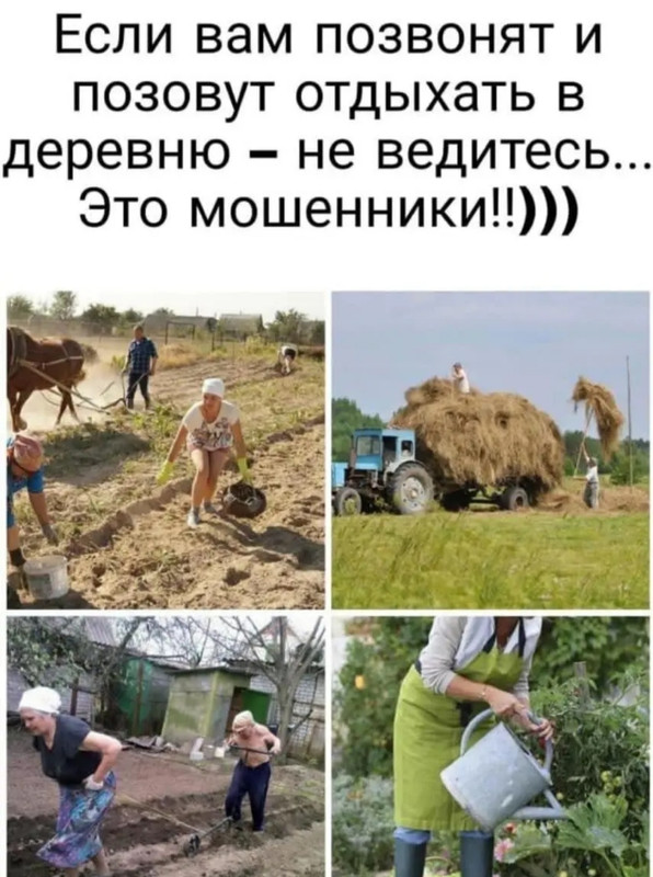 Изображение взято из Интернета.