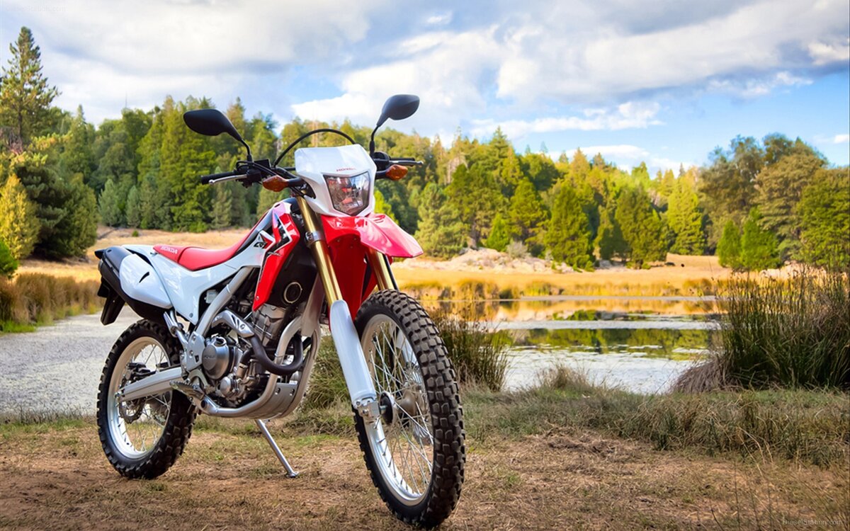 Honda crf250l