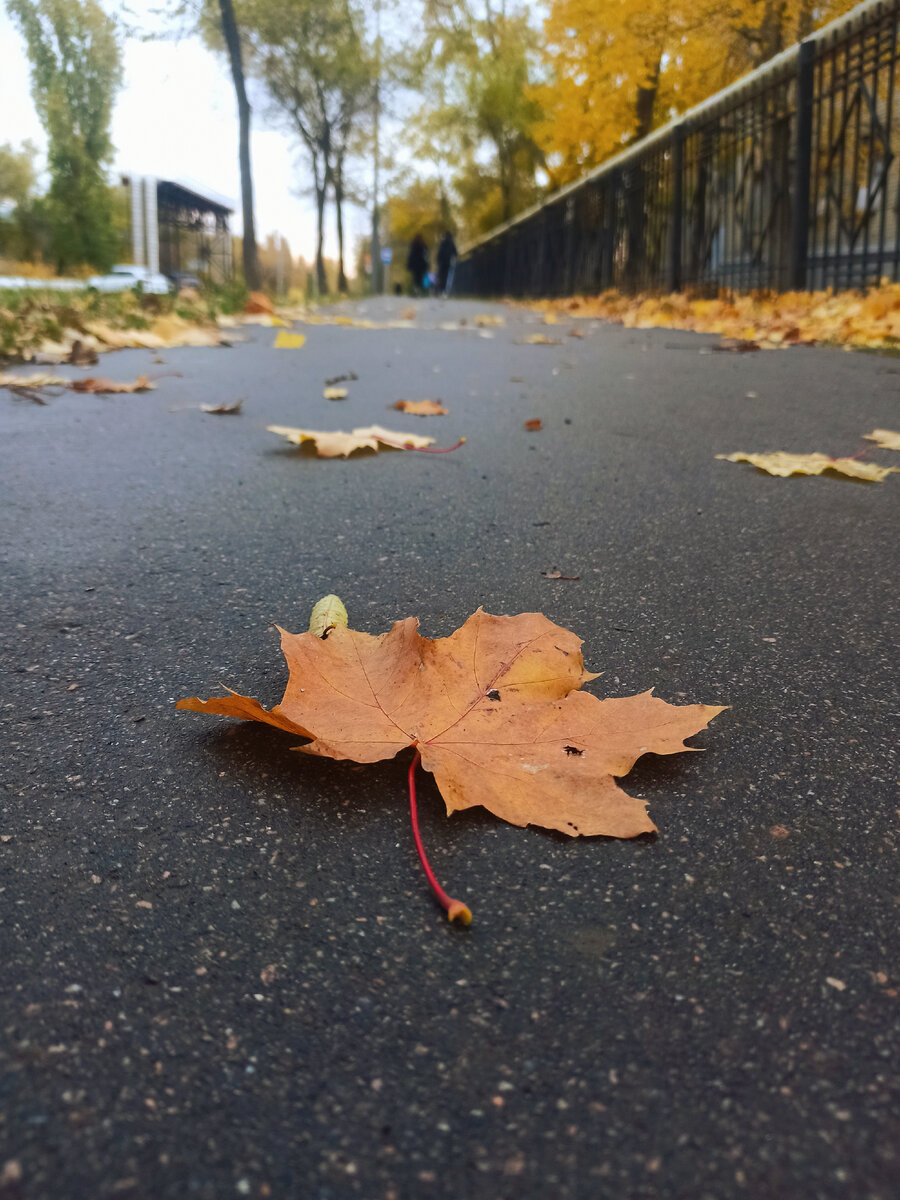 Фото автора канала.