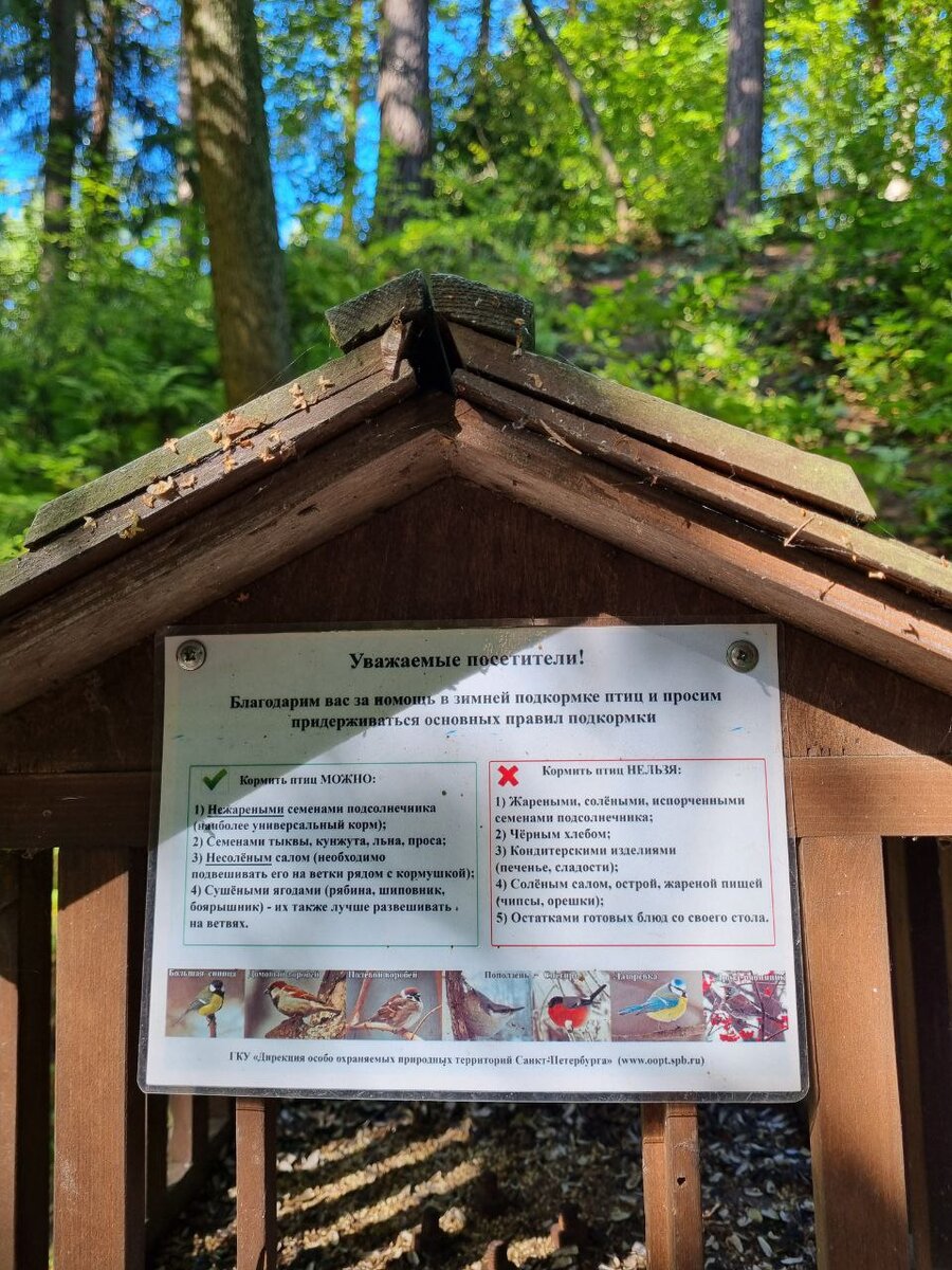 памятка чем можно и нельзя кормить птиц