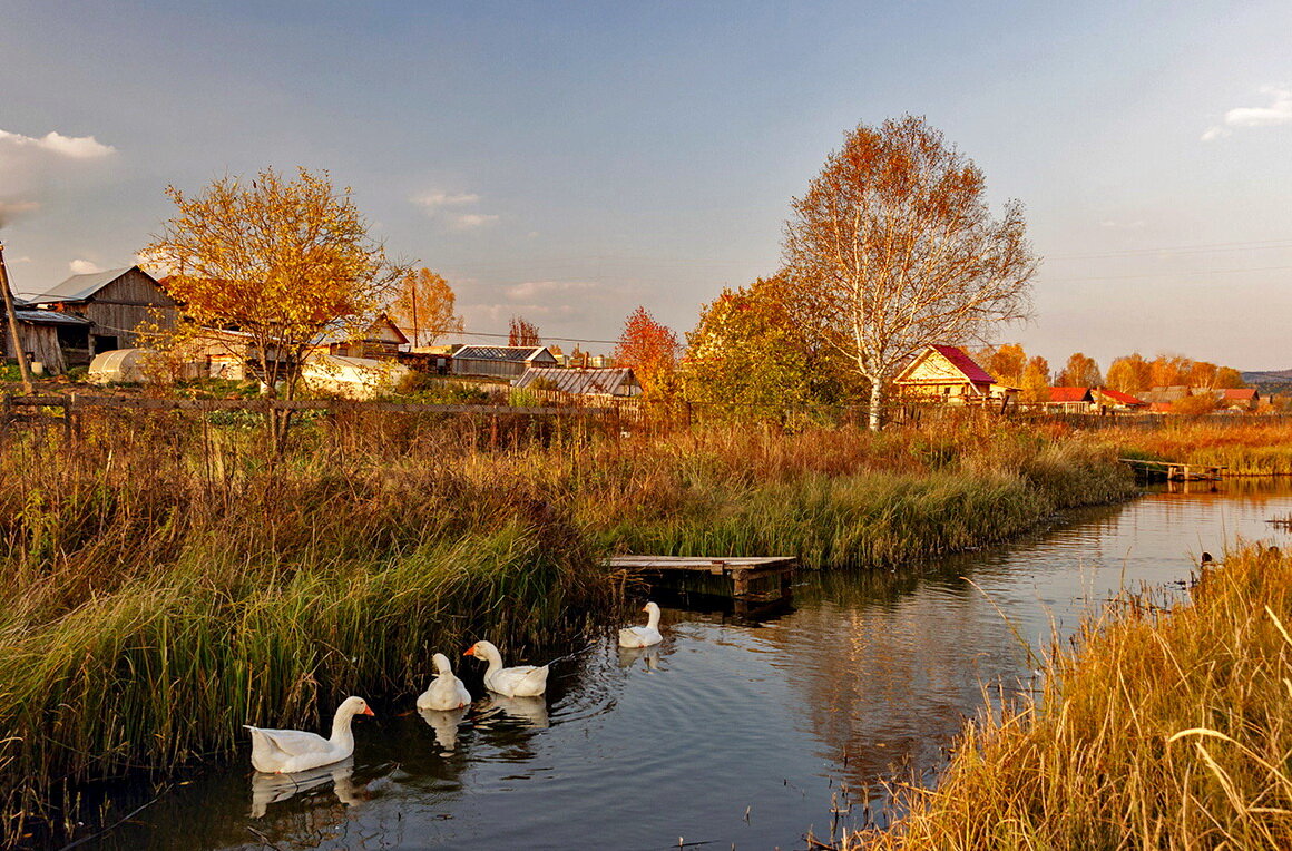 Село октябрь. Осень в деревне. Деревня осенью. Деревенская осень. Красивая осень в деревне.