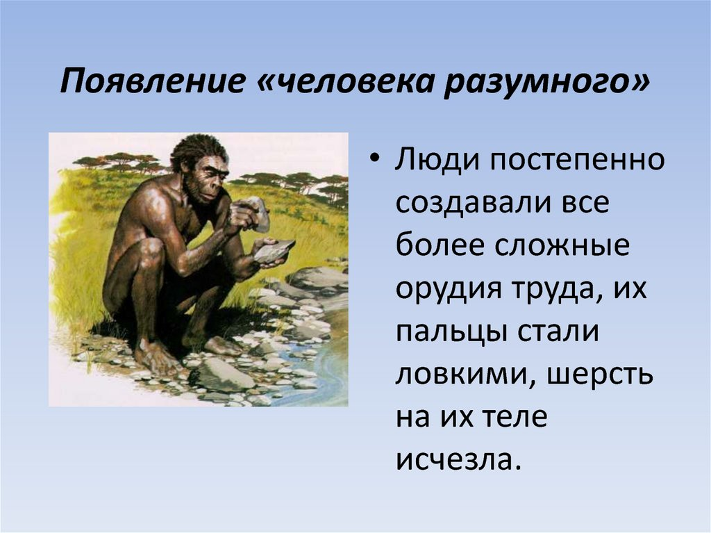 Первые люди появились на территории. Человек разумный. Появление человека разумного. Возникновение человека разумного. Человек разумный презентация.