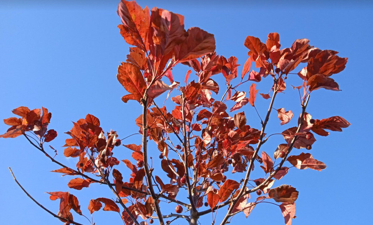   ГТРК "Ставрополье"