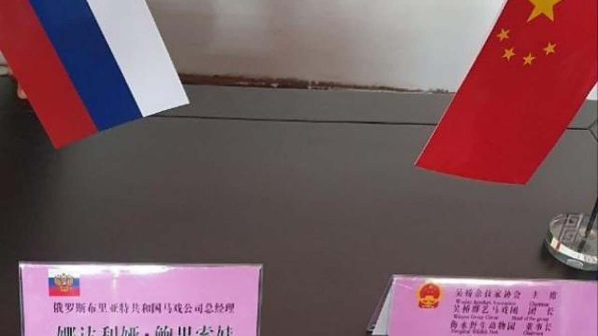 фото из интернета