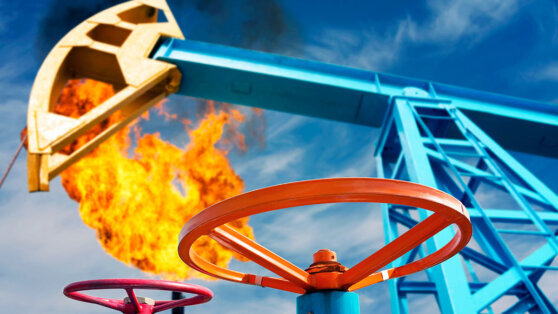    Минфин: нефтегазовые доходы бюджета России за 10 месяцев снизились на 26,3% Богдан Герцен