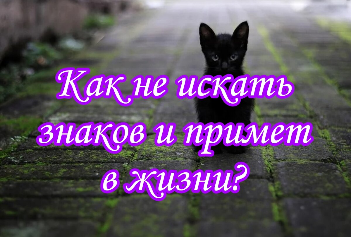 Как перестать искать знаки и приметы в повседневной жизни? | СВЯЩЕННИК  ЕВГЕНИЙ ПОДВЫСОЦКИЙ ☦️ ПРАВОСЛАВИЕ ЦЕРКОВЬ | Дзен