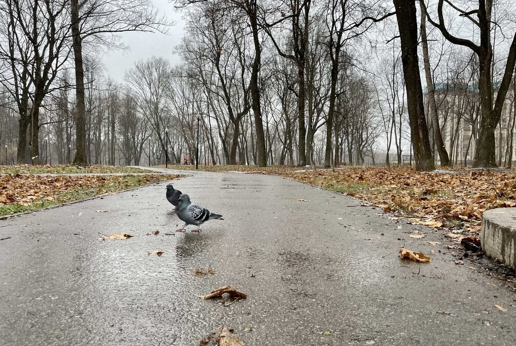 ИА «Тульская пресса»📷
