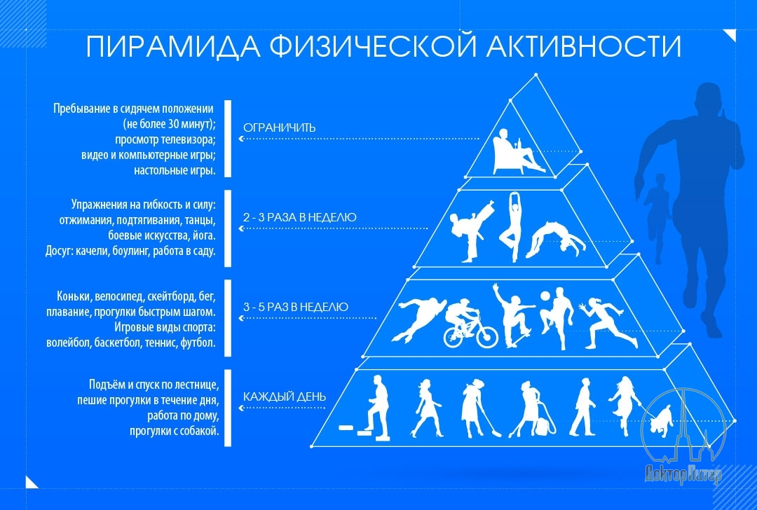 Потребность в здоровье. Пирамида физической активности. Виды физической активности. Типы физической активности человека. Классификация видов физической активности.