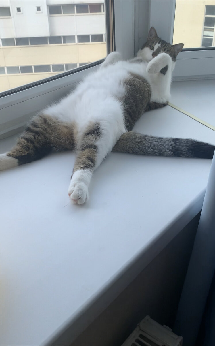 Люблю свой дом!