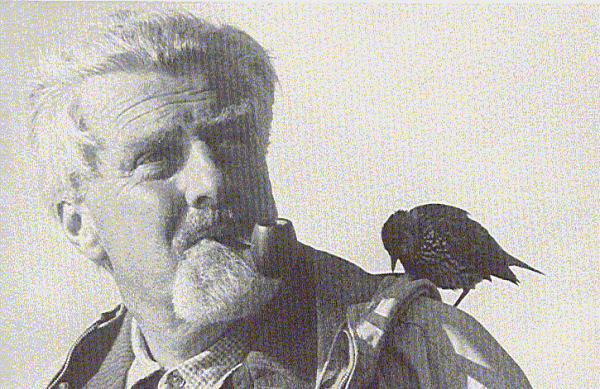 Источник: 21mm.ru