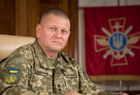    Валерий Залужный