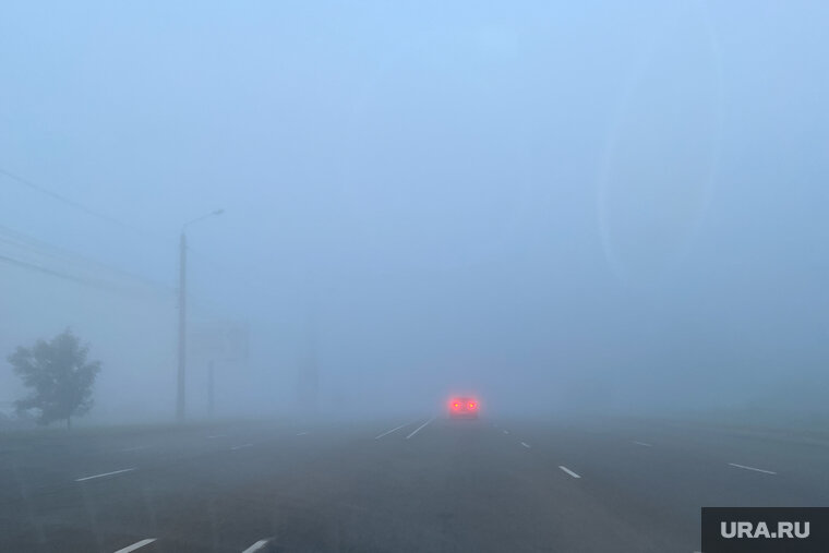    Водитель не заметил пешехода в тумане