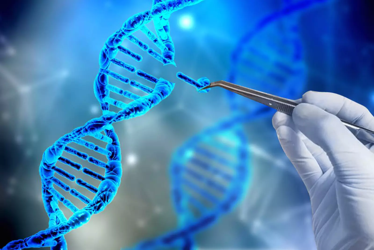 Генная терапия заболеваний. Генетика CRISPR. Генетическая инженерия и генная инженерия. Генная инженерия CRISPR. Технологии CRISPR редактирования генов.