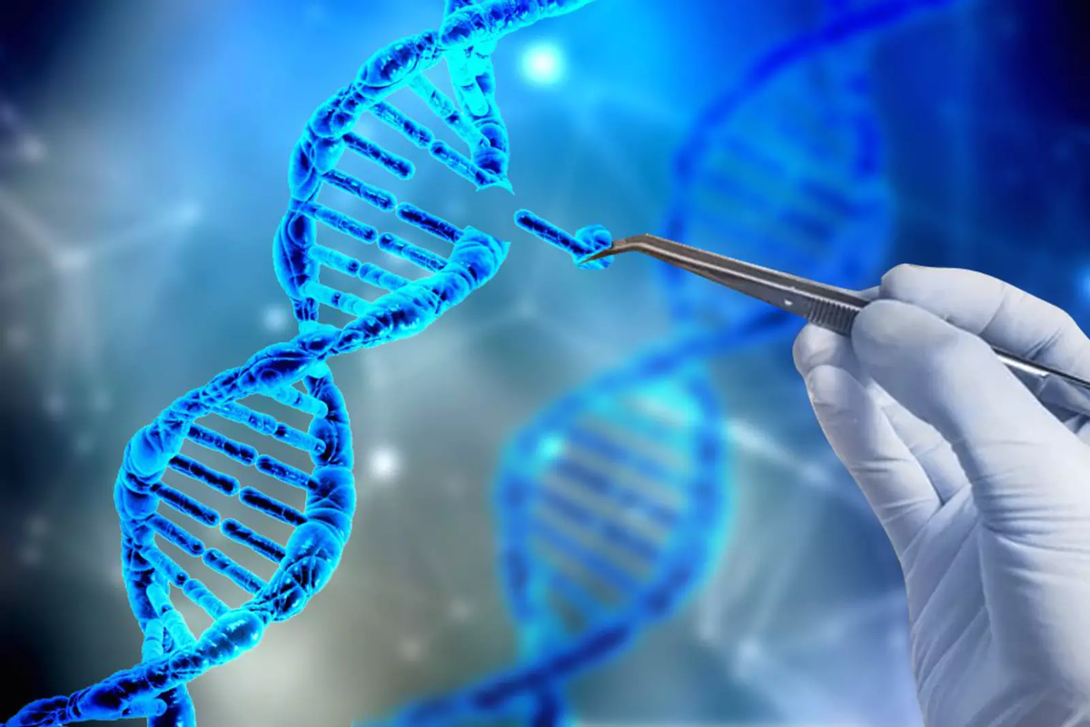 Возможности клетки. Генетика CRISPR. ДНК CRISPR. Генная инженерия CRISPR. CRISPR/CAS В генной инженерии