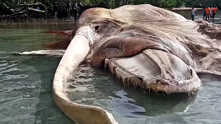 автор фото blog.wolive.ru