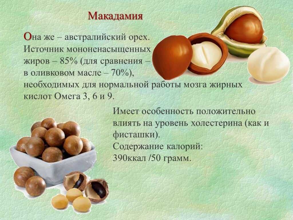 Колония русских немцев 