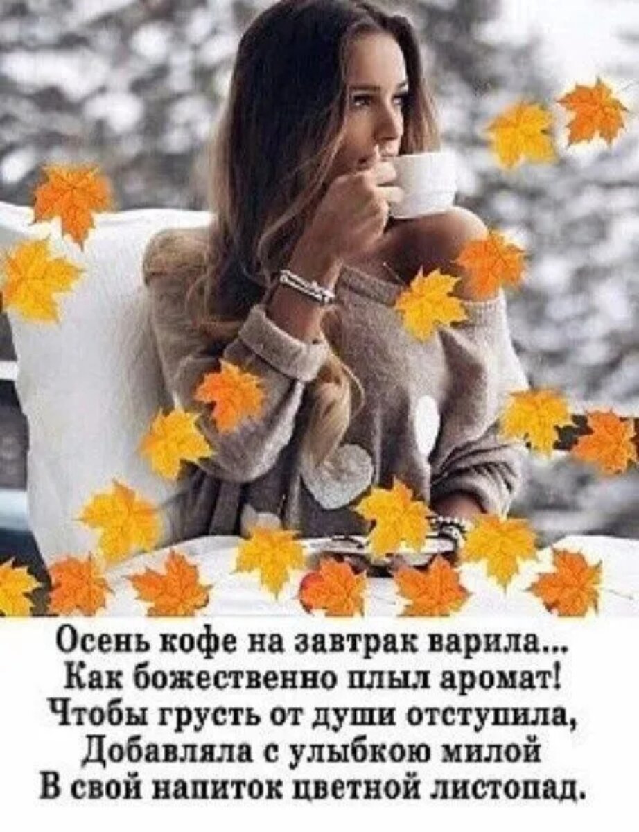Фото из открытых источников.