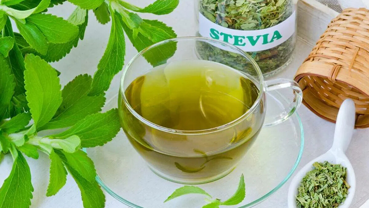 Стевия для диабетиков