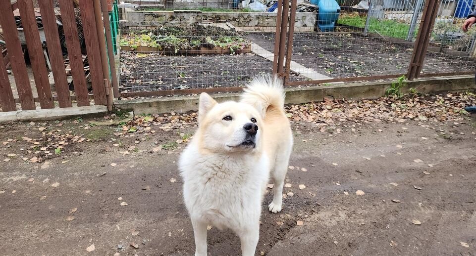 Хавива Фонина📷
