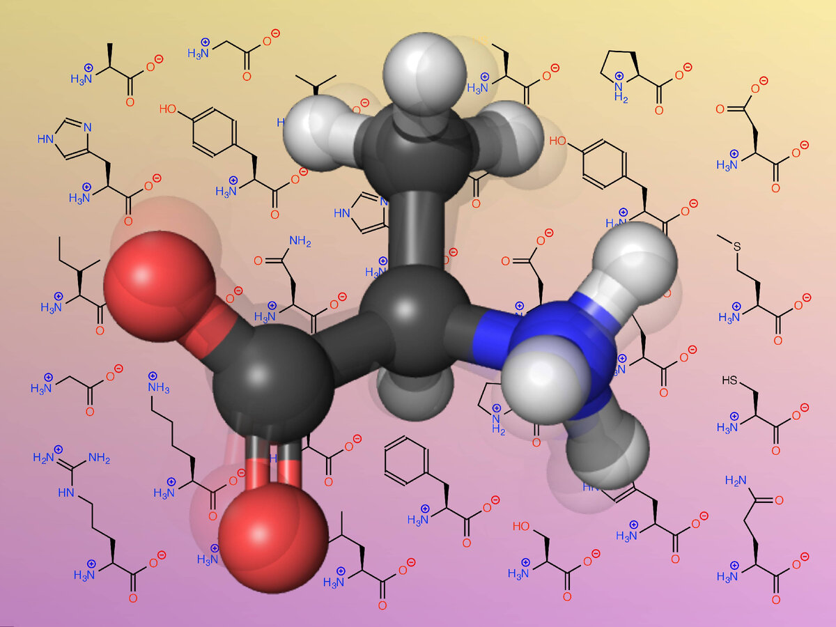 Молекула аминокислоты. Аминокислоты. Амонокислот. Аминокислоты биохимия.