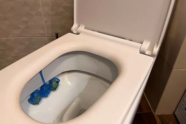 Limpiar tu baño puede ser más fácil de lo que crees. Los productos de limpieza domésticos están reemplazando cada vez más a los productos químicos domésticos.-3