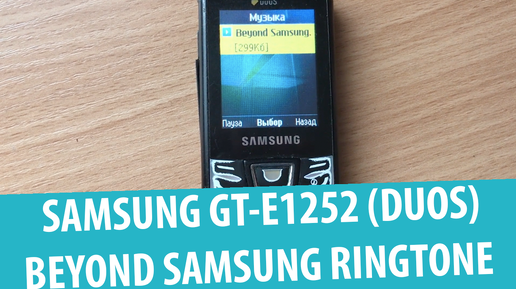 Samsung GT-E1252 — Beyond Samsung