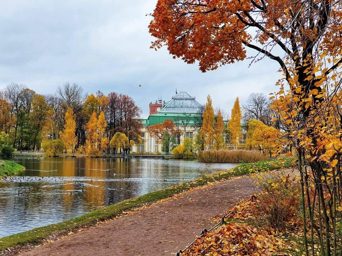 Вдохновение осень санкт петербург. Таврический сад в Санкт-Петербурге. Таврический парк СПБ. Осень Питер Таврический парк. Таврический сад Питер.