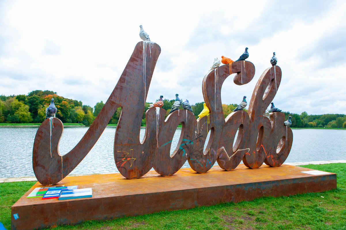 Как самому снять фильм про свою свадьбу