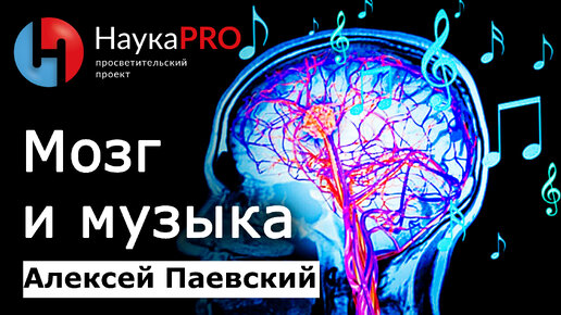 下载视频: Мозг и музыка: как она влияет на нас | Последние данные – Алексей Паевский | Лекции по медицине