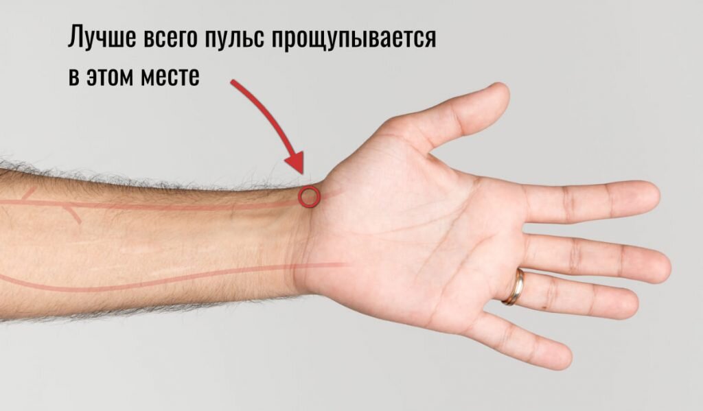 Запястье руки где находится фото у человека Аэробные тренировки или как правильно развивать выносливость и сжигать жир Доказ
