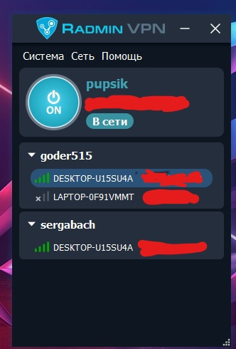 Рис. 1. Radmin VPN с созданной сетью.