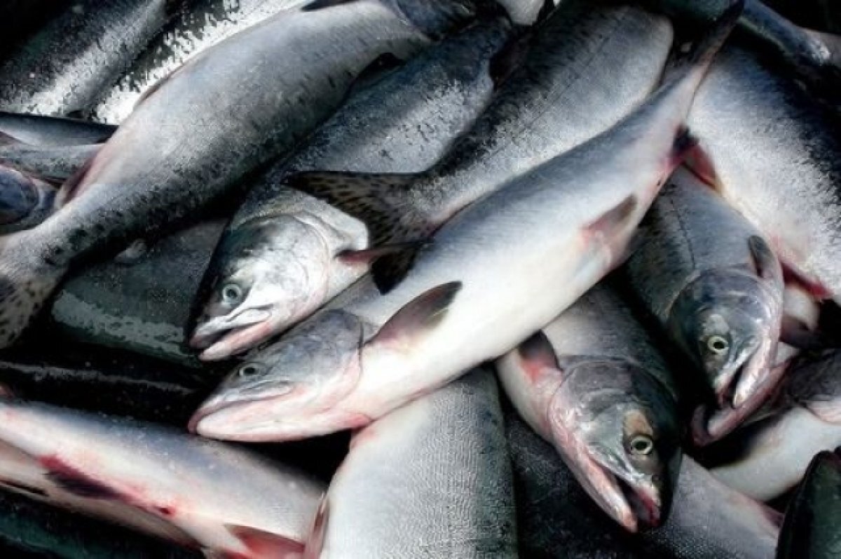    Эксперт Борисов спрогнозировал снижение розничных цен на горбушу