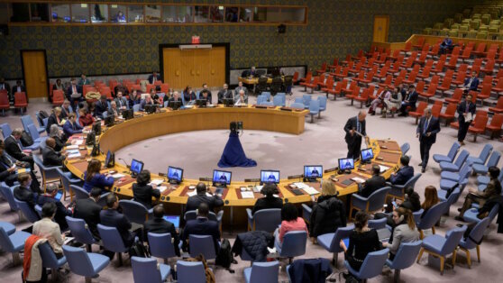   РФ запросила заседание СБ ООН после ударов Киева по Донецку Анна Белая