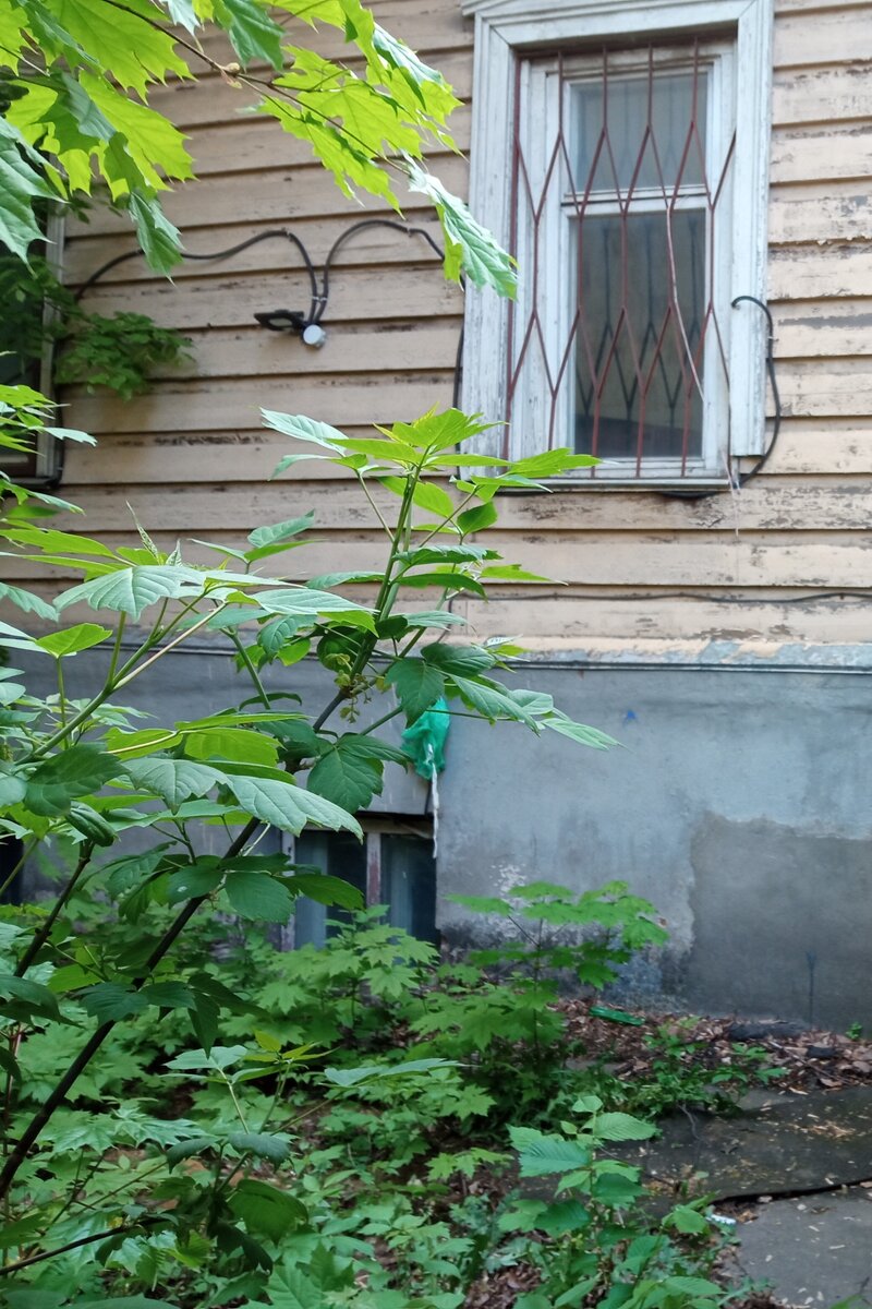 Фото автора канала "Приключения Тома Сойера".