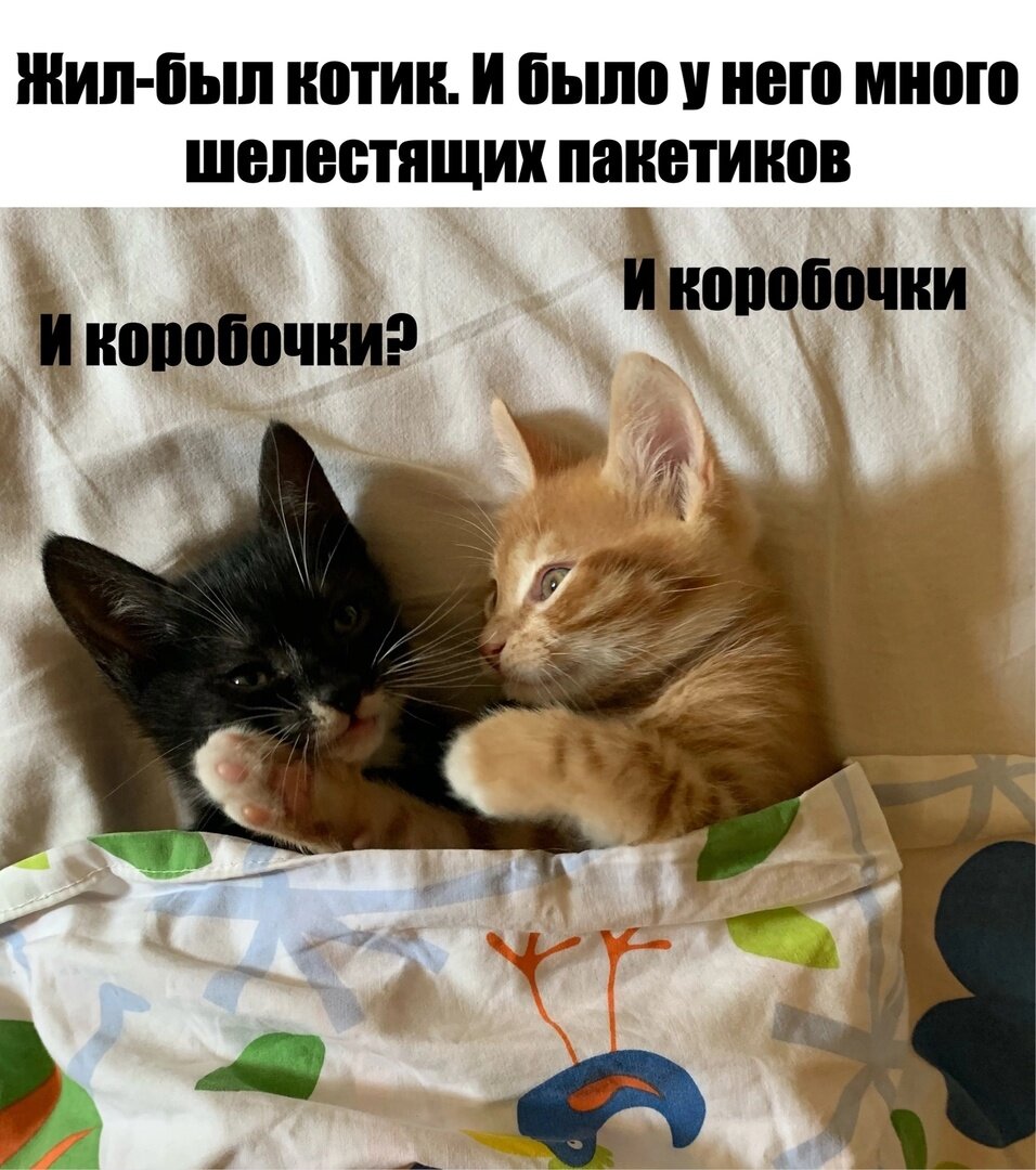 Яндекс.Картинки