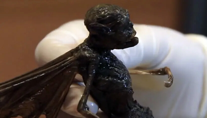 Фото с сайта - http://greatplainsparanormal.com
