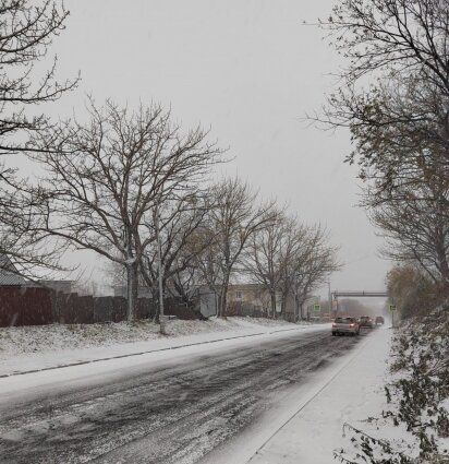    Фото: Администрация Петропавловск-Камчатского городского округа 