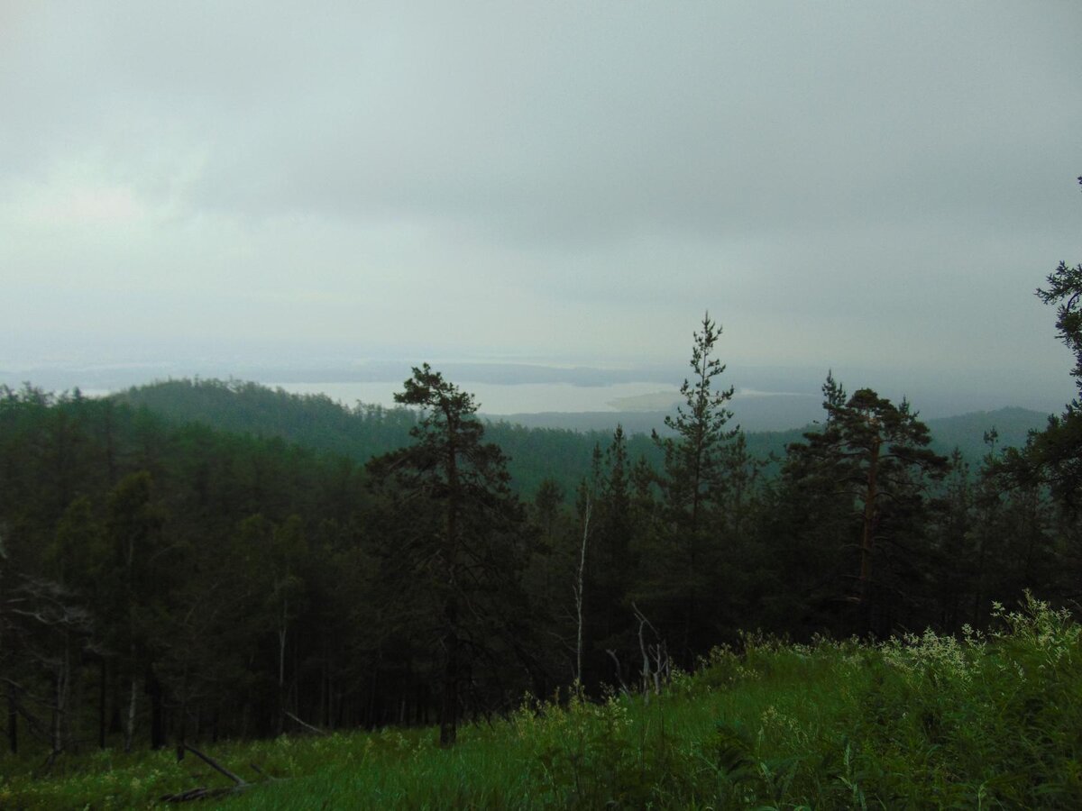 Из открытых источников интернета