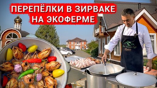 ПЕРЕПЕЛКИ ТОМЛЕННЫЕ В ЗИРВАКЕ. ЭКОФЕРМА 