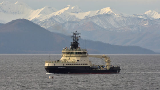     Фото: Тимофей / russianships.net