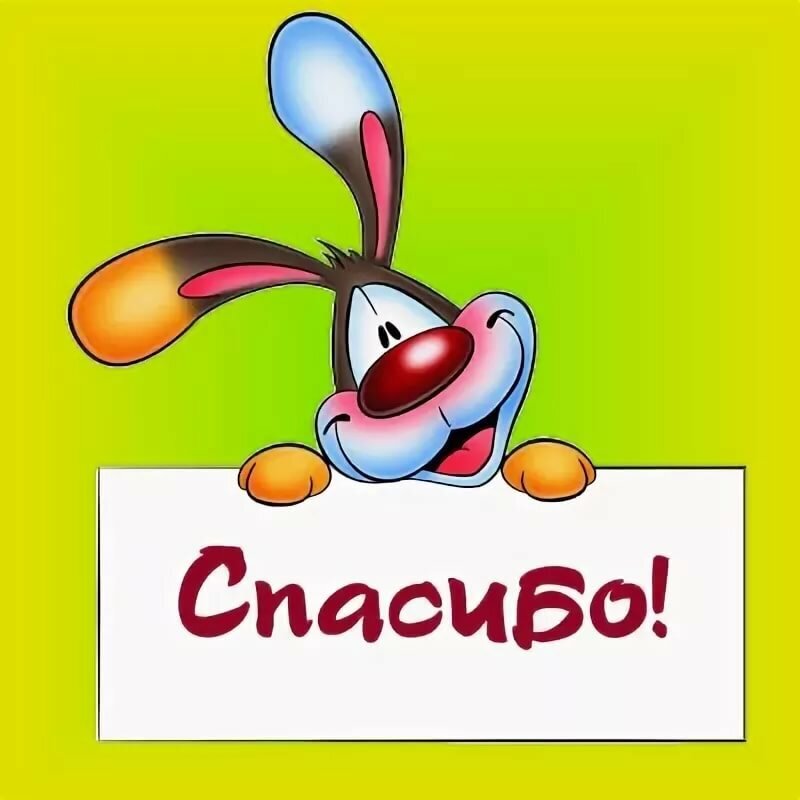 Из открытых интернет источников.