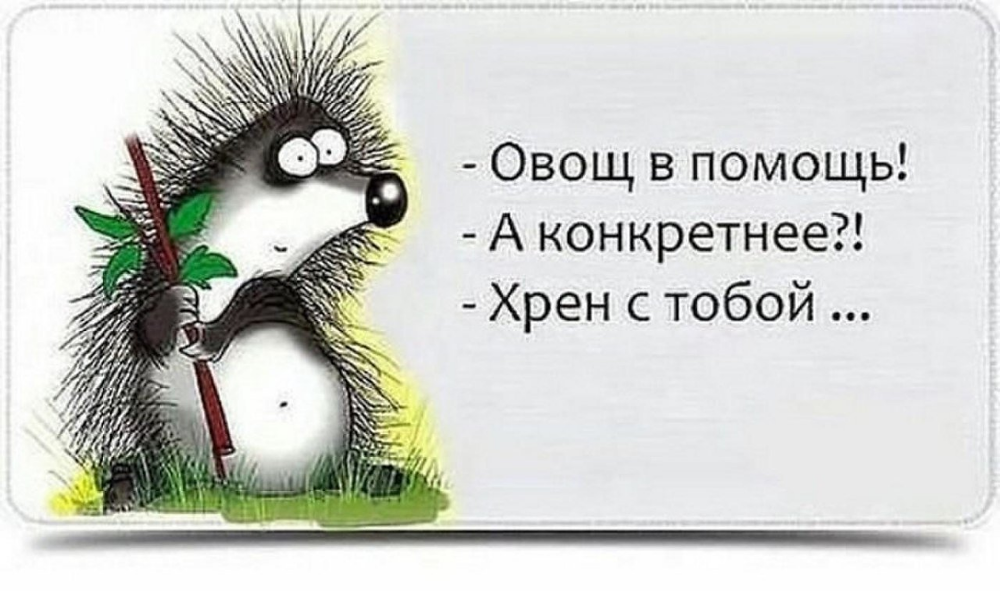 Что означает хрен. Юмор в картинках со смыслом интеллектуальный. Прикольные картинки со словами. Смешные высказывания в картинках. Цитаты про хрен.