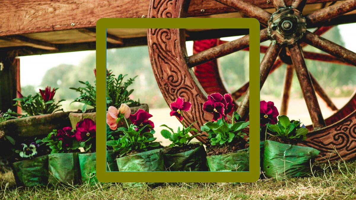 Изображение от Freepik