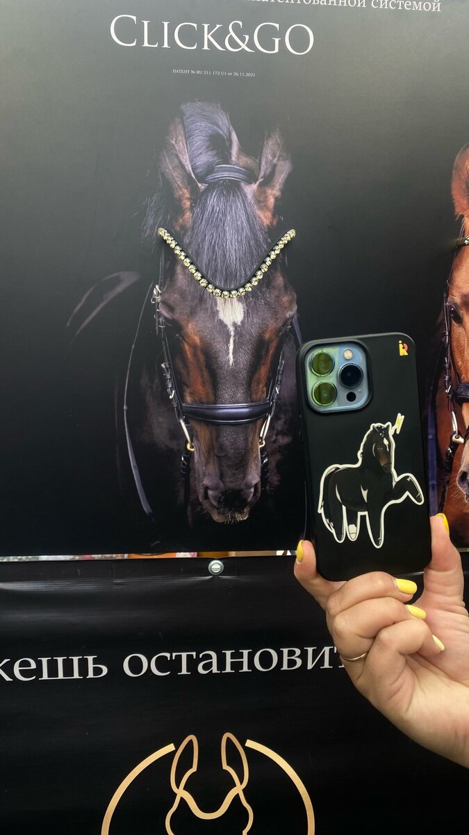 Марина Эквимарус тоже ходит с моим чехлом :)