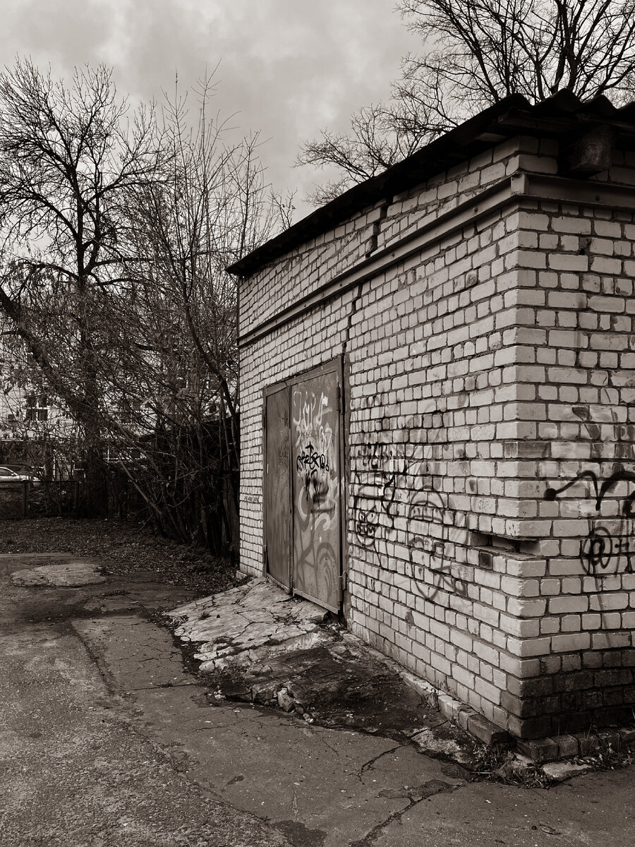 Черно-белый мир 