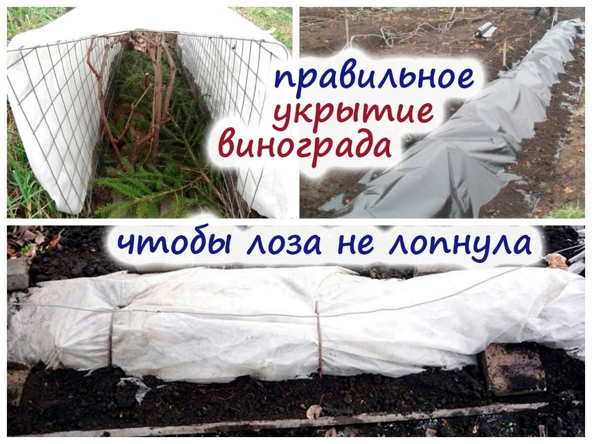 Фото открытых источников