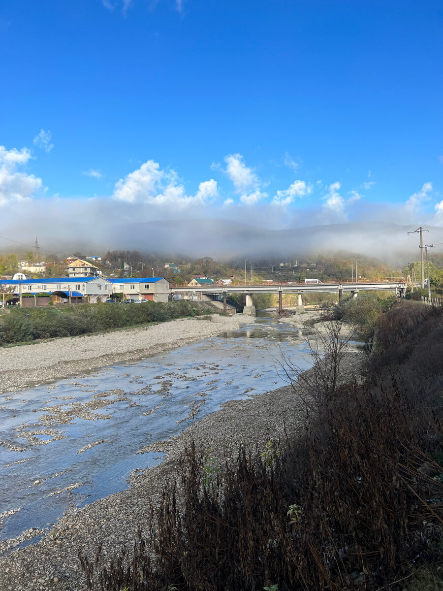 Осенний пейзаж. Природа засыпает, туман укрывает деревья