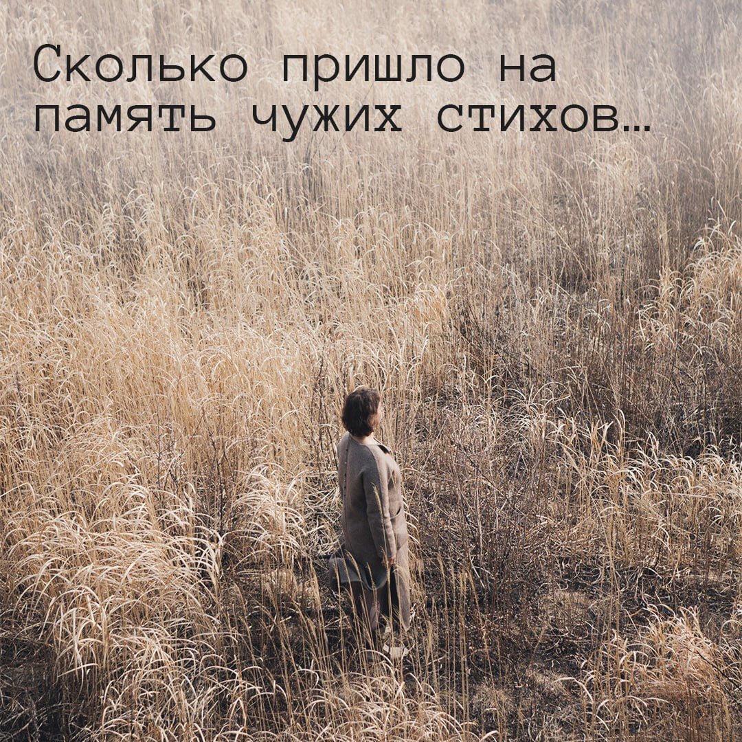 Стихотворение не чужой. Чтение чужих стихов. Чужие стихи