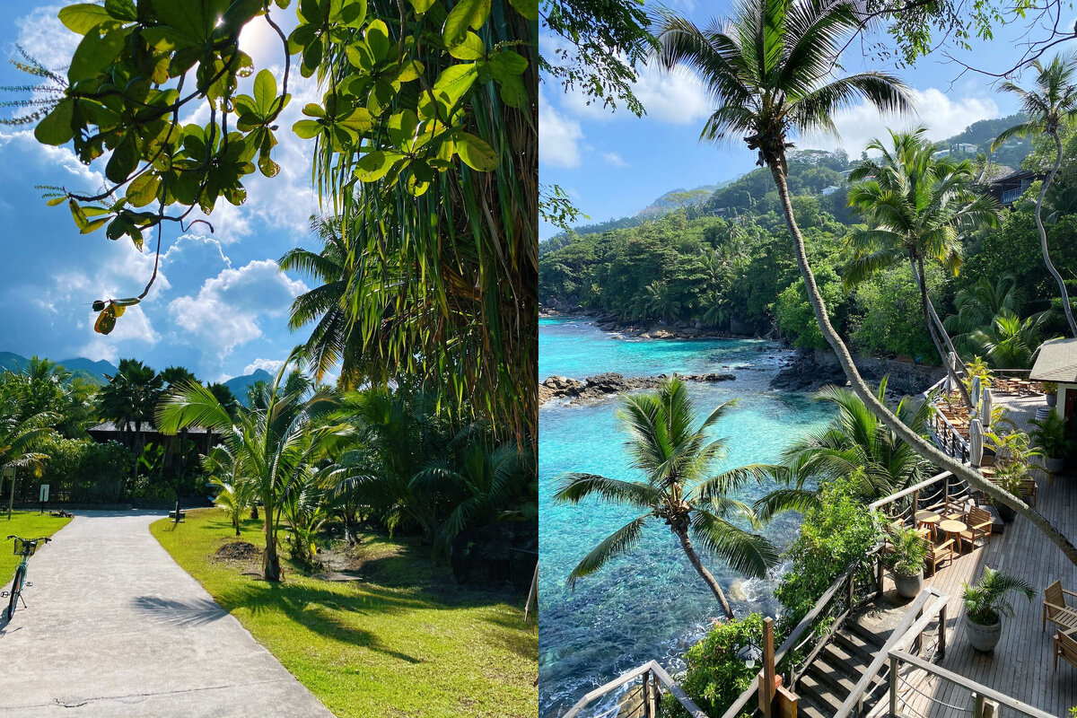 Резорт-отели на Маэ часто находятся на вершине невысоких скал, откуда открываются красивые виды на остров и лазурный океан. Источник: unsplash.com